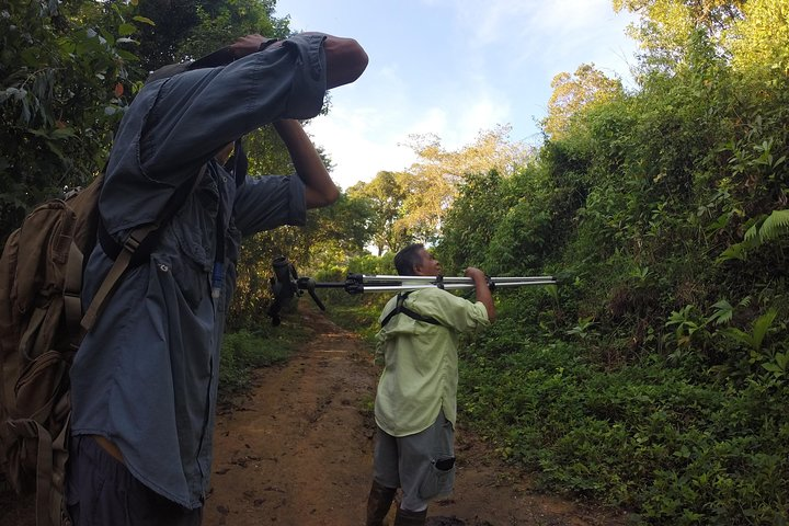 Early birding walk El Mono road with local pro-birders Walter A. Sanchez and Carlos Gonzalez